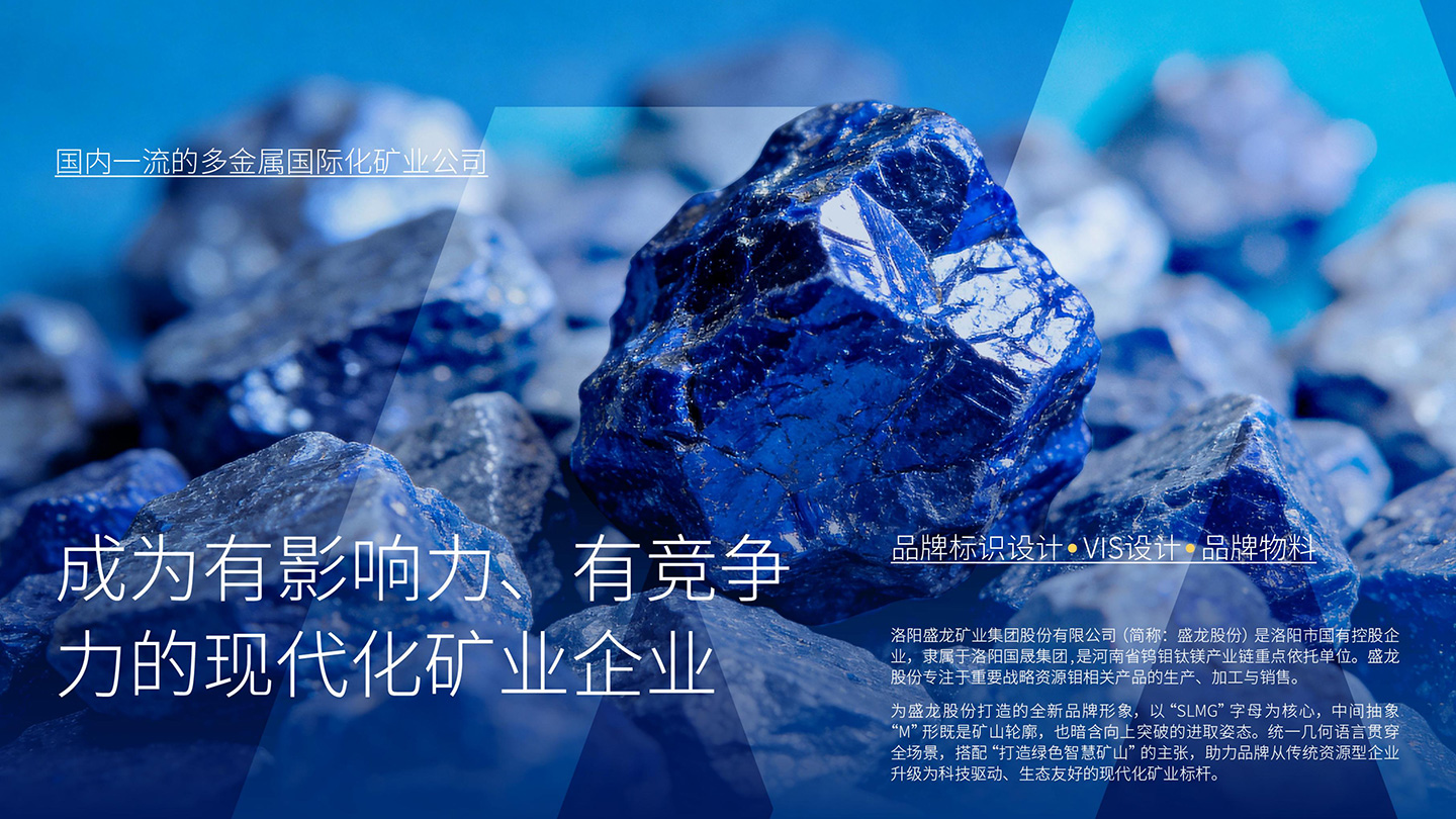 1787278966805059.jpg 盛龙_001.jpg